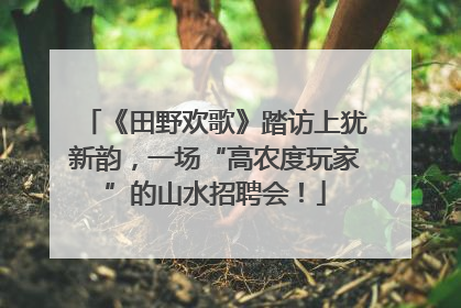 《田野欢歌》踏访上犹新韵，一场“高农度玩家”的山水招聘会！
