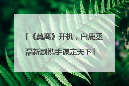 《莫离》开机，白鹿丞磊新剧携手谋定天下