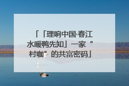 「理响中国·春江水暖鸭先知」一家“村咖”的共富密码