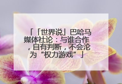 「世界说」巴哈马媒体社论：与谁合作，自有判断，不会沦为“权力游戏”