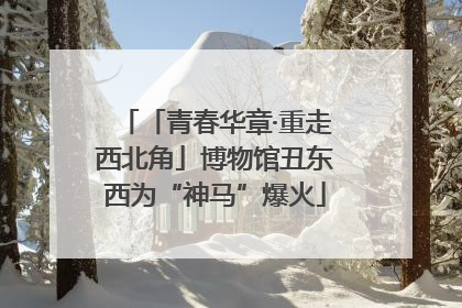 「青春华章·重走西北角」博物馆丑东西为“神马”爆火