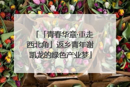 「青春华章·重走西北角」返乡青年谢凯龙的绿色产业梦