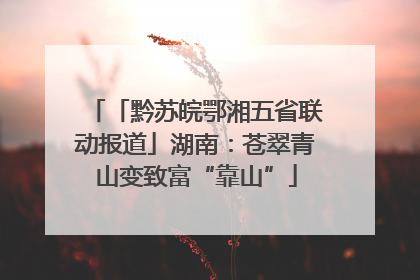 「黔苏皖鄂湘五省联动报道」湖南：苍翠青山变致富“靠山”