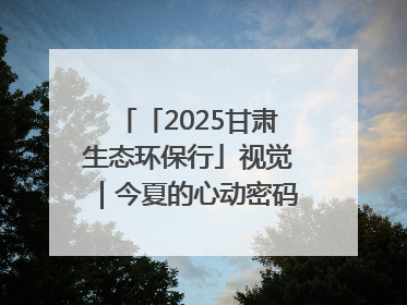「2025甘肃生态环保行」视觉｜今夏的心动密码，藏在冰沟河的潋滟波光里