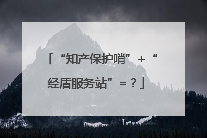 “知产保护哨”+“经盾服务站”=？