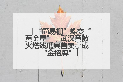 “简易棚”蝶变“黄金屋”，武汉黄陂火塔线瓜果售卖亭成“金招牌”