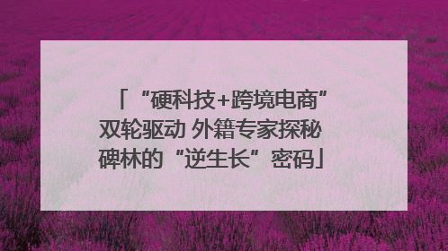 “硬科技+跨境电商”双轮驱动 外籍专家探秘碑林的“逆生长”密码