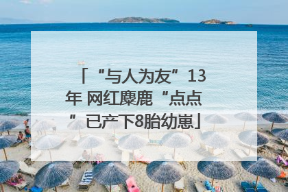 “与人为友”13年 网红麋鹿“点点”已产下8胎幼崽