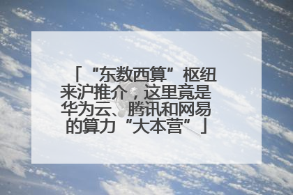 “东数西算”枢纽来沪推介，这里竟是华为云、腾讯和网易的算力“大本营”