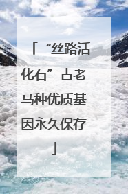 “丝路活化石”古老马种优质基因永久保存