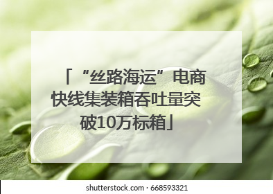 “丝路海运”电商快线集装箱吞吐量突破10万标箱
