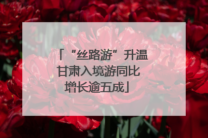 “丝路游”升温 甘肃入境游同比增长逾五成