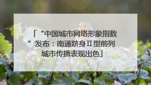 “中国城市网络形象指数”发布：南通跻身Ⅱ型前列 城市传播表现出色