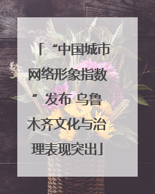 “中国城市网络形象指数”发布 乌鲁木齐文化与治理表现突出
