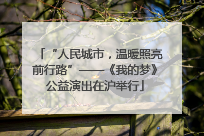 “人民城市，温暖照亮前行路”——《我的梦》公益演出在沪举行