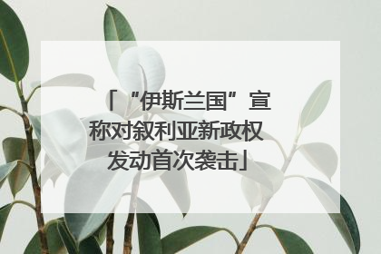 “伊斯兰国”宣称对叙利亚新政权发动首次袭击