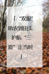 “双服”助农到田头 护航“三夏”正当时