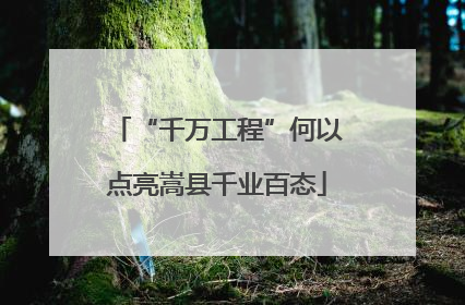“千万工程”何以点亮嵩县千业百态