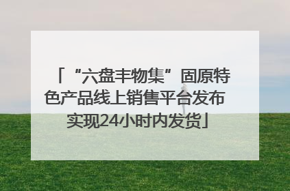 “六盘丰物集”固原特色产品线上销售平台发布 实现24小时内发货