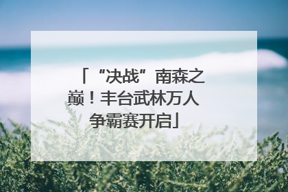 “决战”南森之巅！丰台武林万人争霸赛开启