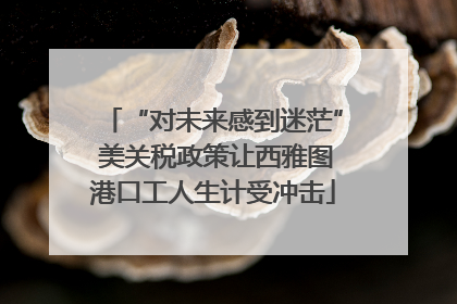 “对未来感到迷茫” 美关税政策让西雅图港口工人生计受冲击