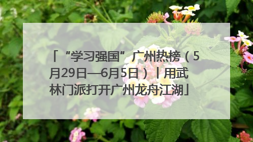 “学习强国”广州热榜（5月29日—6月5日）丨用武林门派打开广州龙舟江湖