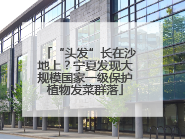 “头发”长在沙地上？宁夏发现大规模国家一级保护植物发菜群落