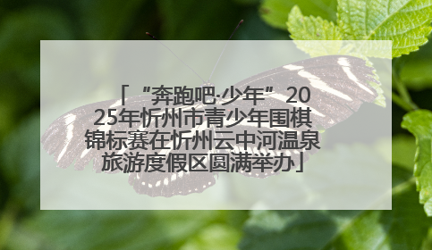 “奔跑吧·少年”2025年忻州市青少年围棋锦标赛在忻州云中河温泉旅游度假区圆满举办
