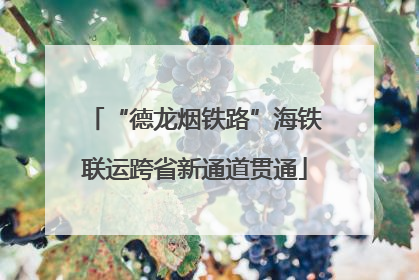 “德龙烟铁路”海铁联运跨省新通道贯通