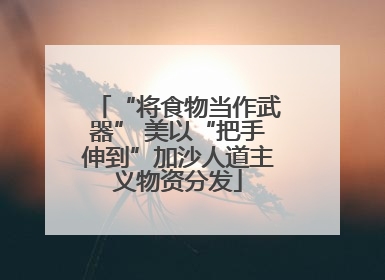 “将食物当作武器” 美以“把手伸到”加沙人道主义物资分发