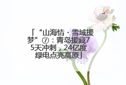“山海情・雪域援梦”⑦：青岛援藏75天冲刺，24亿度绿电点亮高原