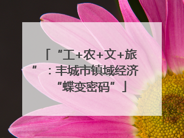 “工+农+文+旅”：丰城市镇域经济“蝶变密码”