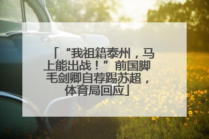 “我祖籍泰州，马上能出战！”前国脚毛剑卿自荐踢苏超，体育局回应