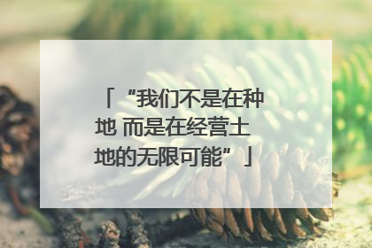 “我们不是在种地 而是在经营土地的无限可能”