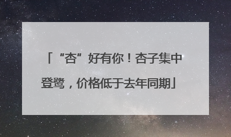 “杏”好有你！杏子集中登鹭，价格低于去年同期