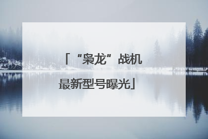 “枭龙”战机最新型号曝光