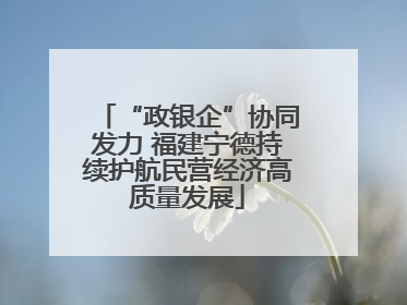 “政银企”协同发力 福建宁德持续护航民营经济高质量发展