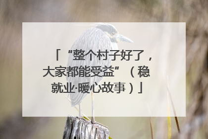 “整个村子好了，大家都能受益”（稳就业·暖心故事）