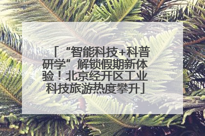 “智能科技+科普研学”解锁假期新体验！北京经开区工业科技旅游热度攀升
