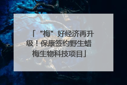 “梅”好经济再升级！保康签约野生蜡梅生物科技项目