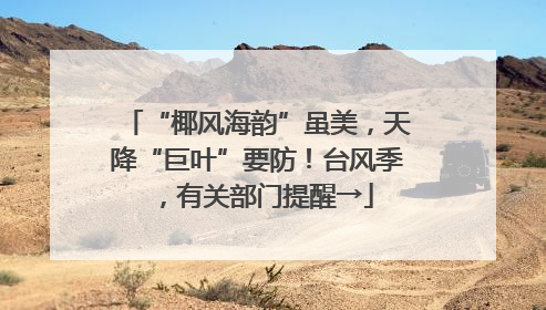 “椰风海韵”虽美，天降“巨叶”要防！台风季，有关部门提醒→