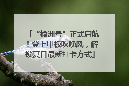 “橘洲号”正式启航！登上甲板吹晚风，解锁夏日最新打卡方式