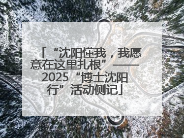 “沈阳懂我，我愿意在这里扎根”——2025“博士沈阳行”活动侧记