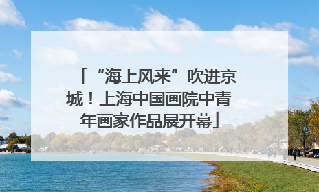“海上风来”吹进京城！上海中国画院中青年画家作品展开幕