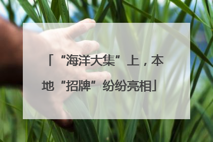 “海洋大集”上，本地“招牌”纷纷亮相