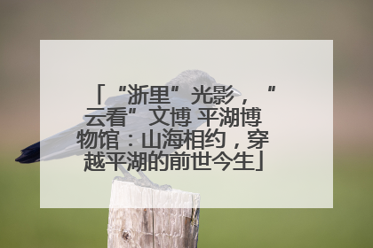 “浙里”光影，“云看”文博 平湖博物馆：山海相约，穿越平湖的前世今生