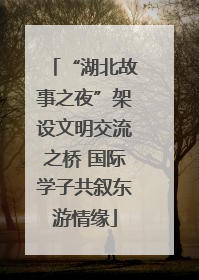 “湖北故事之夜”架设文明交流之桥 国际学子共叙东游情缘