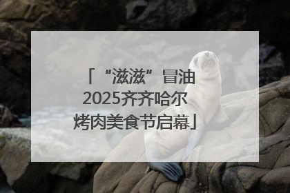 “滋滋”冒油 2025齐齐哈尔烤肉美食节启幕