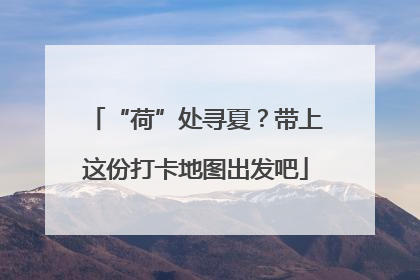 “荷”处寻夏？带上这份打卡地图出发吧