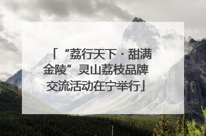 “荔行天下・甜满金陵”灵山荔枝品牌交流活动在宁举行